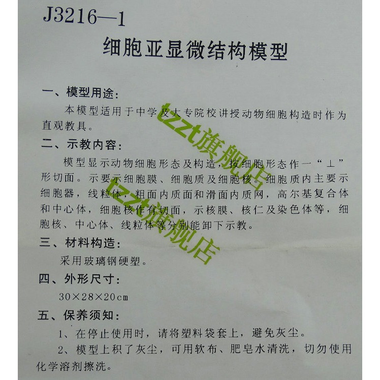 細胞亞顯微結構模型 J33302 生物實驗器材 中學教學儀器-細節圖6