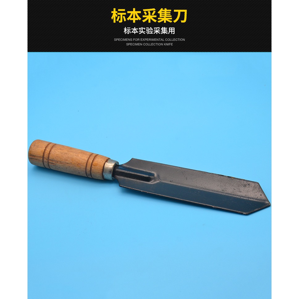 標本採集刀 J8255 工具 高中生物實驗器材 中學 教學儀器-細節圖5