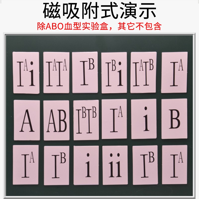 ABO血型實驗盒磁吸附式生物實驗器材初中小學物理教學教具儀器小學科學學具-細節圖4