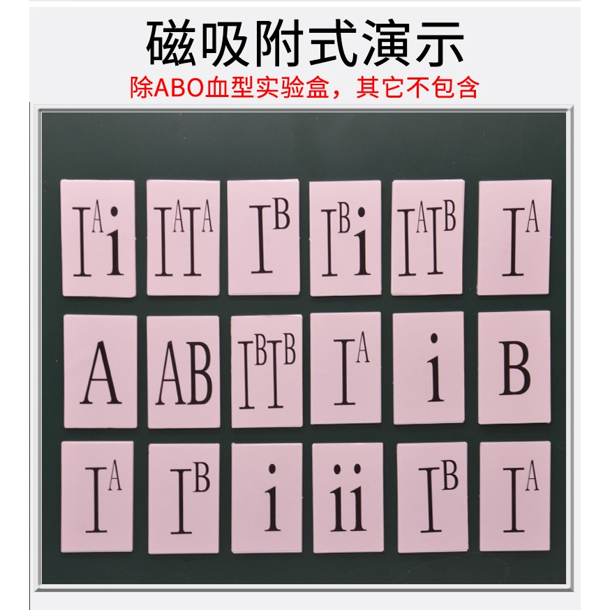 ABO血型實驗盒磁吸附式生物實驗器材初中小學物理教學教具儀器小學科學學具-細節圖9
