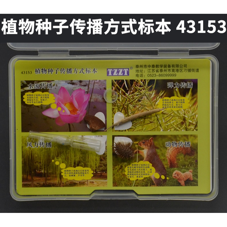 昆蟲標本生物標本菜粉蝶實驗小學生魚骨骼標本珊瑚標本蜜蜂桑蠶蕨蝗蟲葫蘆蘚生活史標本紅藻類褐藻類植物標本-細節圖6