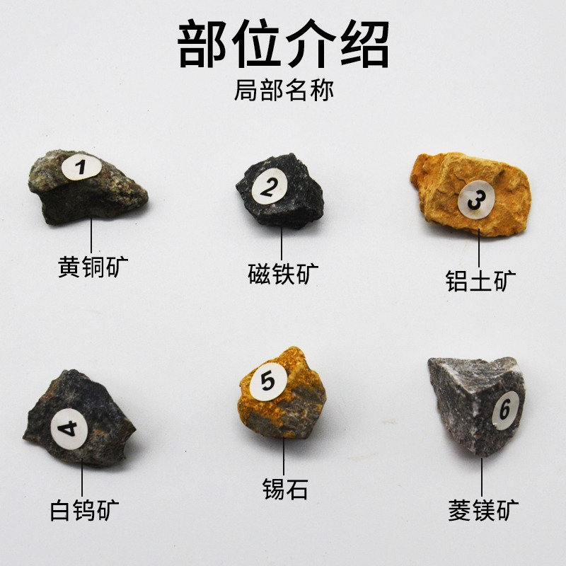 金屬礦物標本J49007小學自然科學科普教學儀器中小學教學教具實驗器材-細節圖3