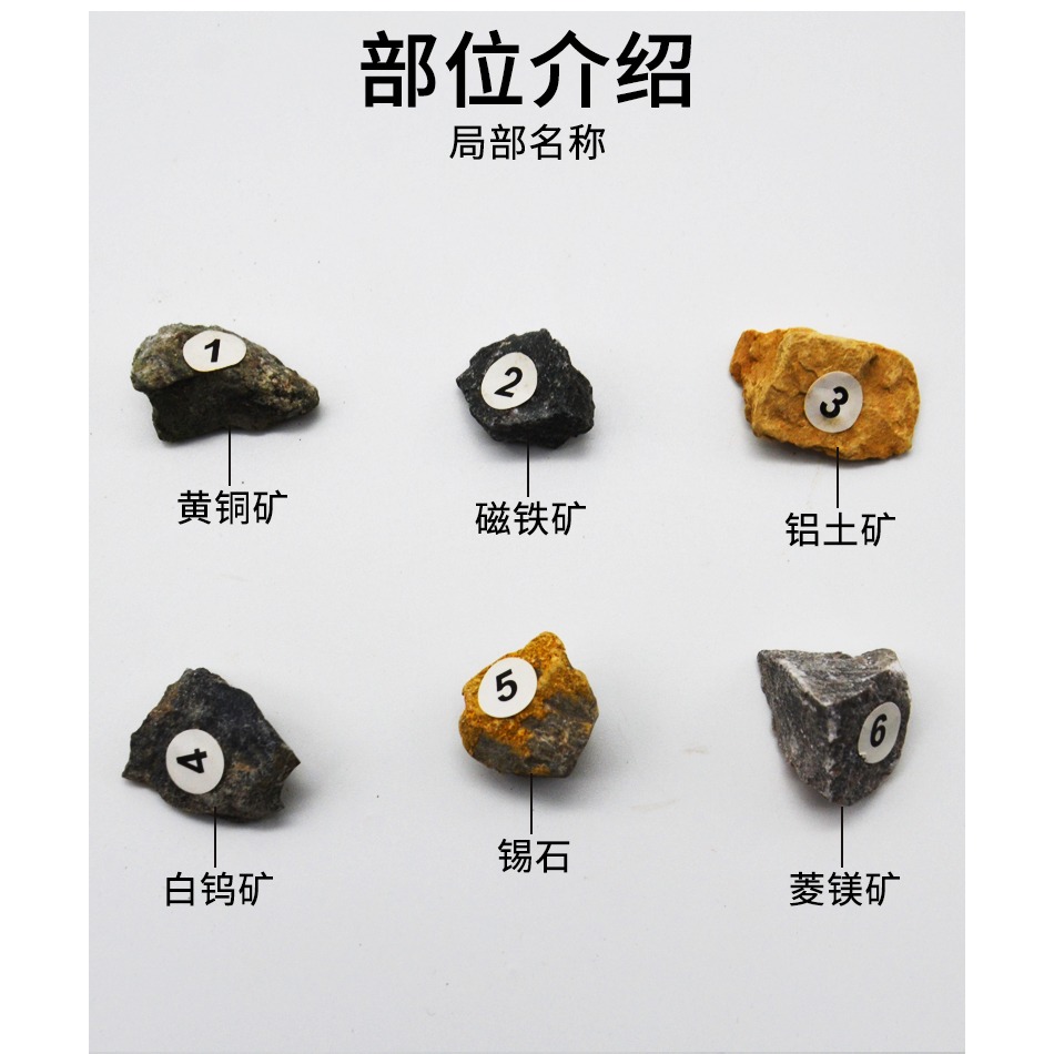 金屬礦物標本J49007小學自然科學科普教學儀器中小學教學教具實驗器材-細節圖9