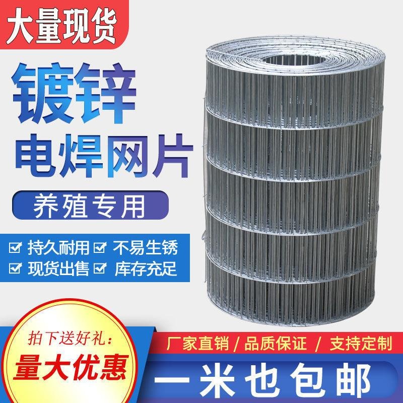 加粗鍍鋅小長孔電焊網鐵絲網片網格絲養殖卷網雞鴿籠鳥籠陽臺墊底-細節圖2