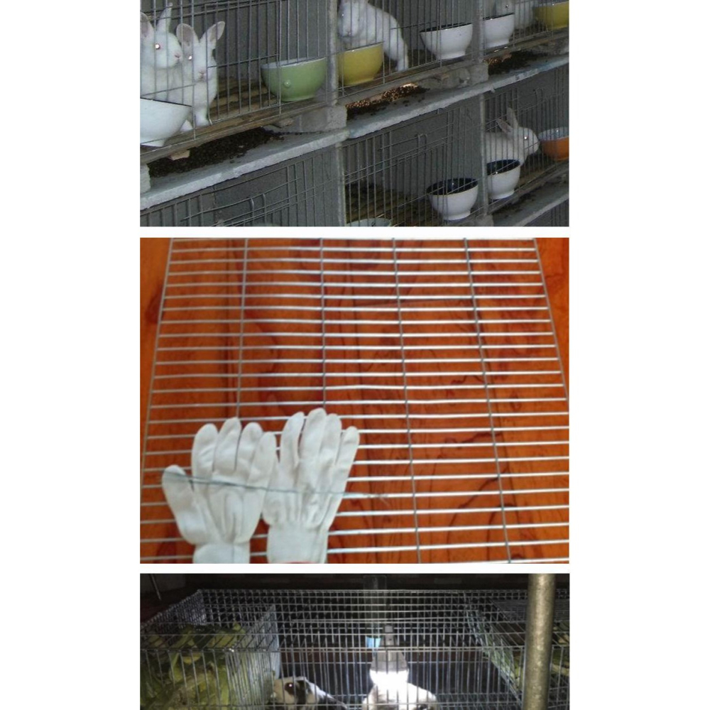 加粗鍍鋅小長孔電焊網鐵絲網片網格絲養殖卷網雞鴿籠鳥籠陽臺墊底-細節圖5