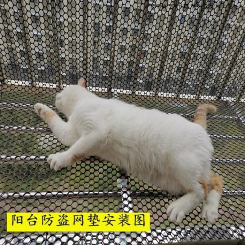陽臺防護網防掉東西防墜物網家用鋼絲塑料網格防盜網自裝圍墻墊板-細節圖4