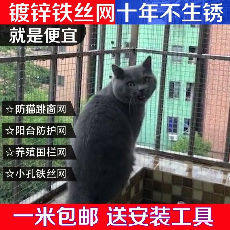 鍍鋅鐵絲網防護隔離養殖貨架鋼絲網片雞鴿鳥籠狗籠鐵網格電焊網片-細節圖3