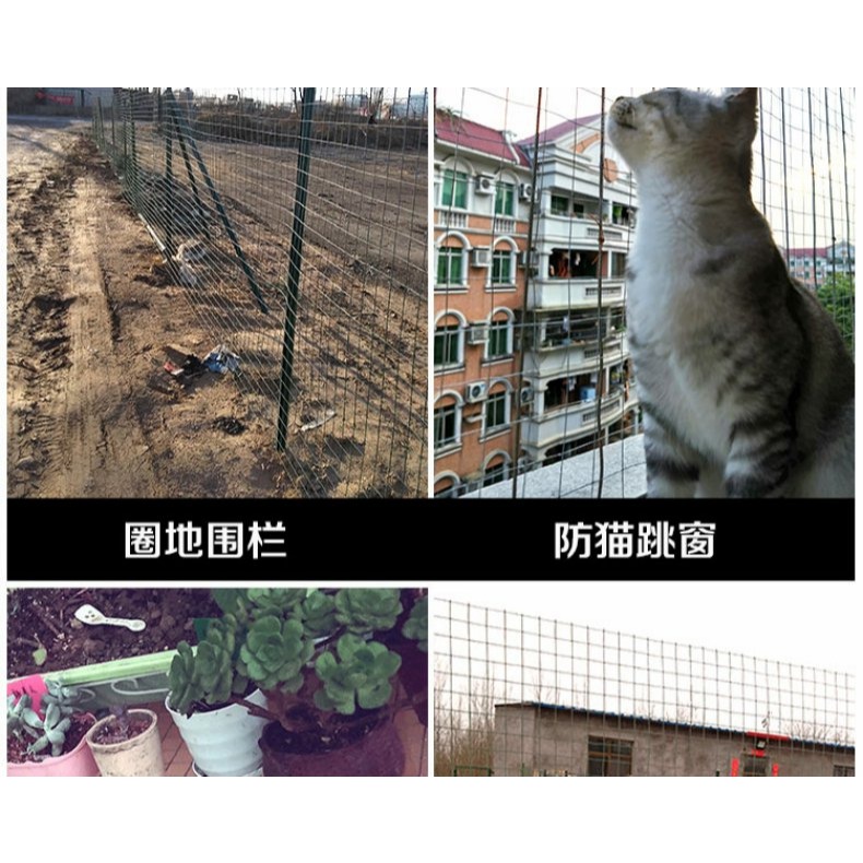 鍍鋅鐵絲網防護隔離養殖貨架鋼絲網片雞鴿鳥籠狗籠鐵網格電焊網片-細節圖10