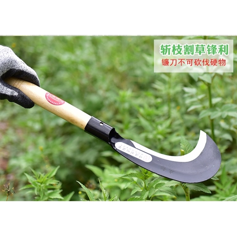 進口大鐮刀長柄戶外農用除草工具錳鋼鐮刀割草刀農具玉米收割草-細節圖10