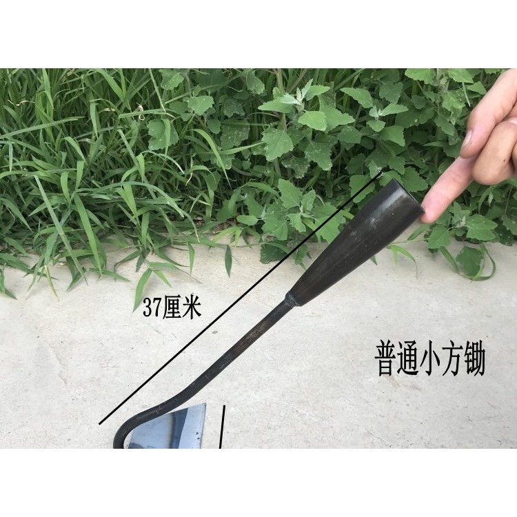 鋤草根鋤頭家用除草種菜挖地多功能空心老式鍛打農用工具鋤地神器-細節圖6