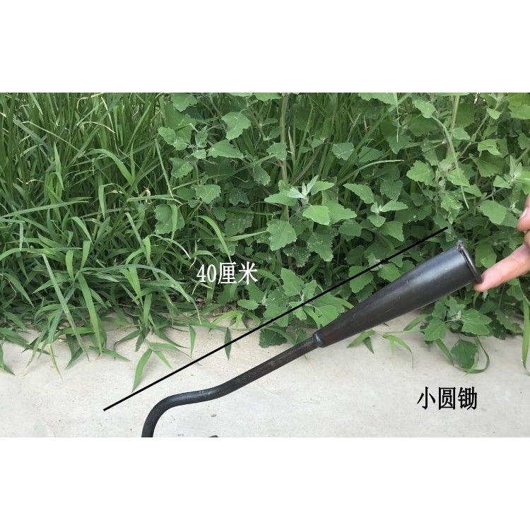 鋤草根鋤頭家用除草種菜挖地多功能空心老式鍛打農用工具鋤地神器-細節圖8