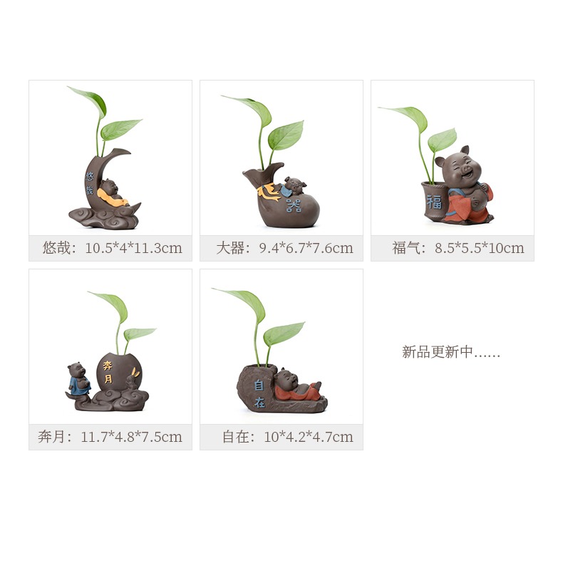 個性迷你水培豬年生肖創意茶寵擺件精品可養茶桌茶盤茶道花瓶花器-細節圖9