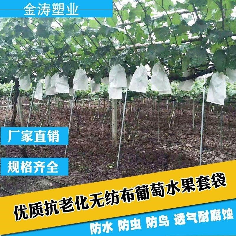 。葡萄套袋水果防鳥專用套袋無紡布葡萄袋防蟲防水抗老化葡萄包裝-細節圖2