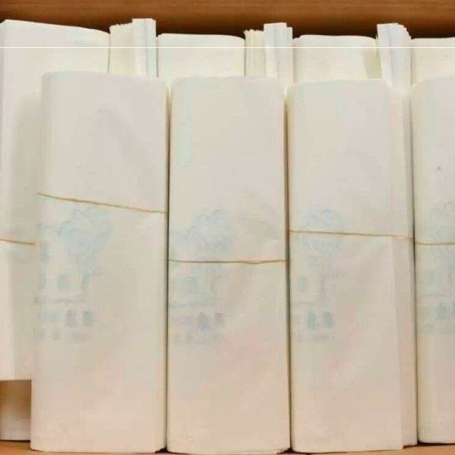 。水果袋綠色木漿紙袋防蟲袋白色葡萄套袋果袋芒果琵琶橙子防鳥防-細節圖4