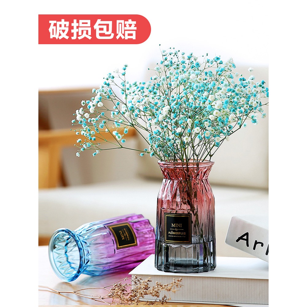 還不晚 歐式玻璃花瓶透明彩色水培植物花瓶客廳裝飾擺件插花瓶-細節圖4