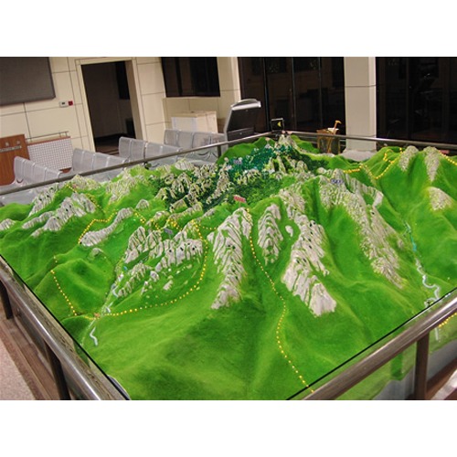 地形粉 diy沙盤植被建築模型材料仿真路面草坪景觀地面粘土細草粉-細節圖9