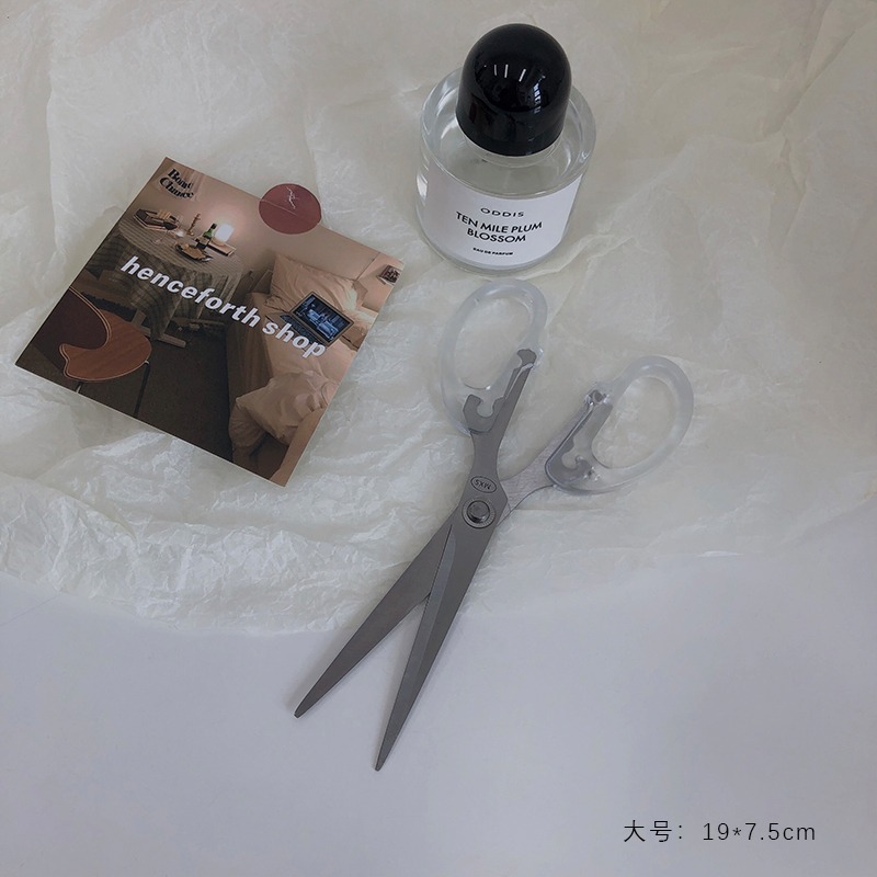 ins風手工小剪刀家用大號剪子學生文具透明便攜簡約不銹鋼美工剪-細節圖7