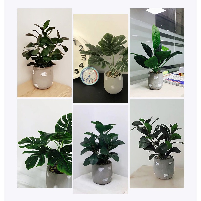 北歐仿真植物盆栽綠植客廳擺件ins風臥室內裝飾品龜背葉假草盆景-細節圖8