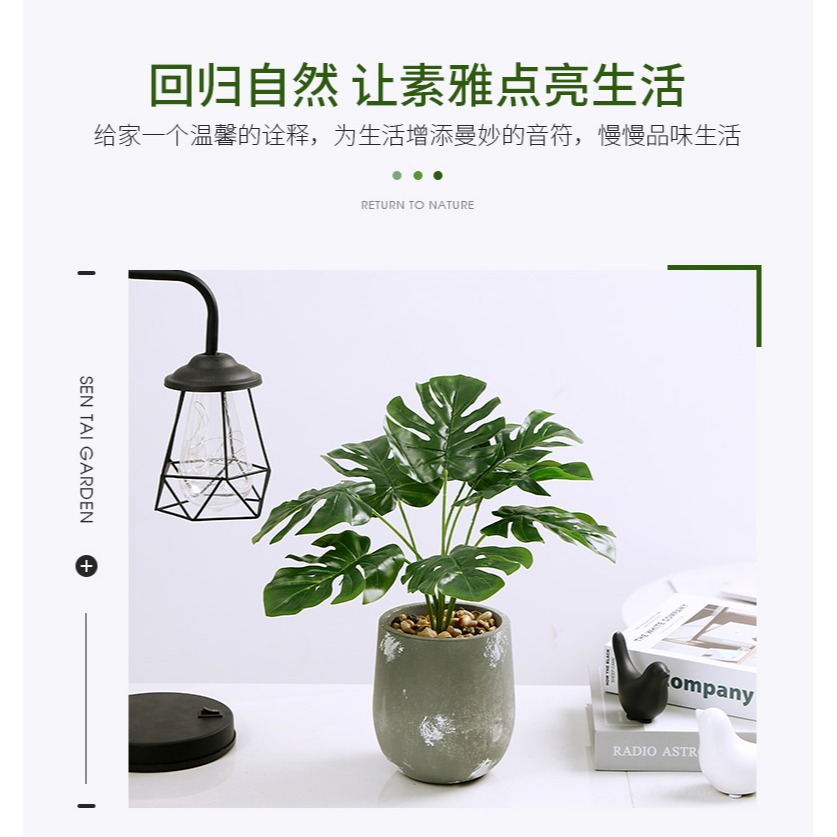 北歐仿真植物盆栽綠植客廳擺件ins風臥室內裝飾品龜背葉假草盆景-細節圖9