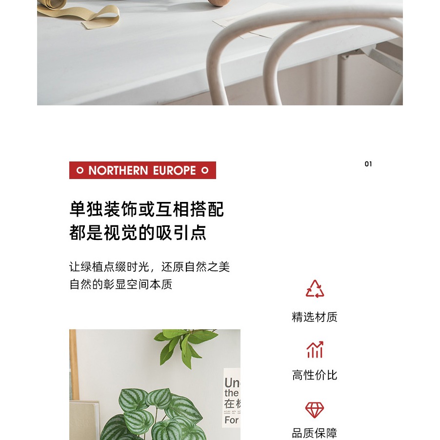 北歐ins創意仿真花綠植物盆栽客廳臥室假花卉盆景桌面擺件裝飾品-細節圖6