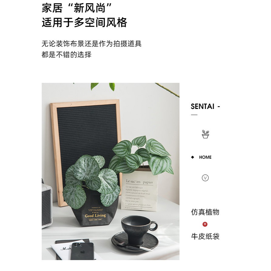 北歐ins創意仿真花綠植物盆栽客廳臥室假花卉盆景桌面擺件裝飾品-細節圖9