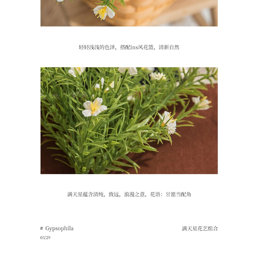 ins風假花仿真花束客廳擺設電視櫃盆栽擺件餐桌塑料裝飾花藝擺設-細節圖7