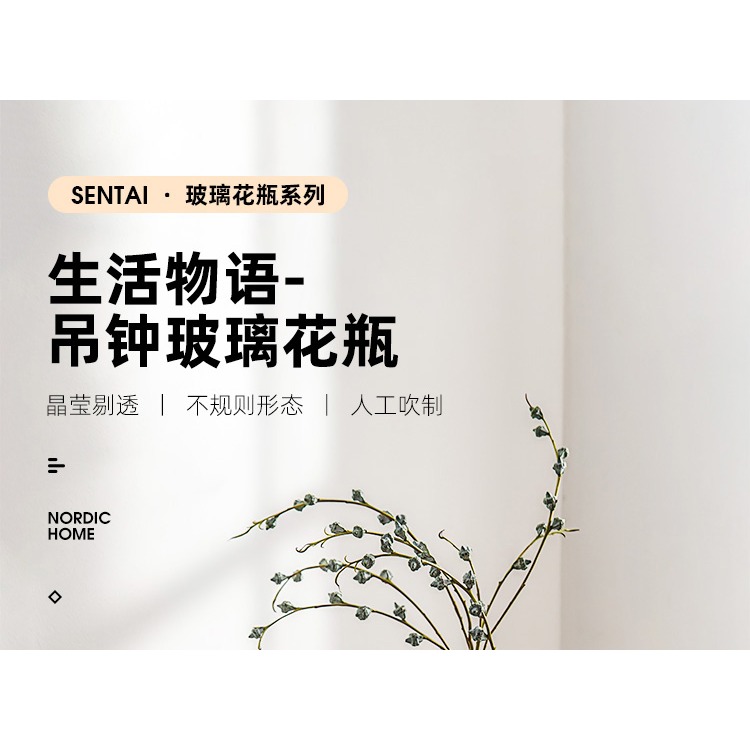 花瓶北歐簡約大肚玻璃花瓶吊鐘馬醉木插花水培落地透明大擺件-細節圖5