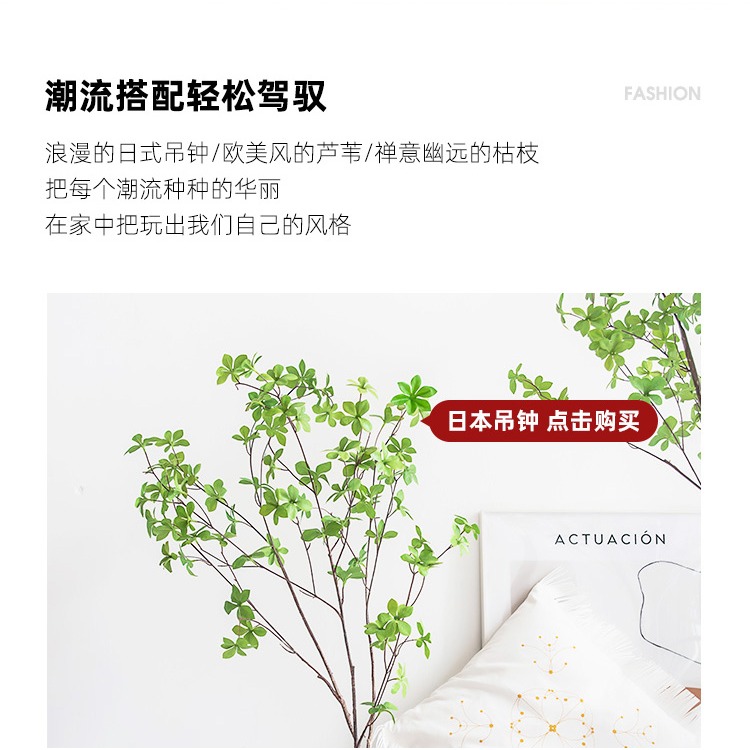 花瓶北歐簡約大肚玻璃花瓶吊鐘馬醉木插花水培落地透明大擺件-細節圖7