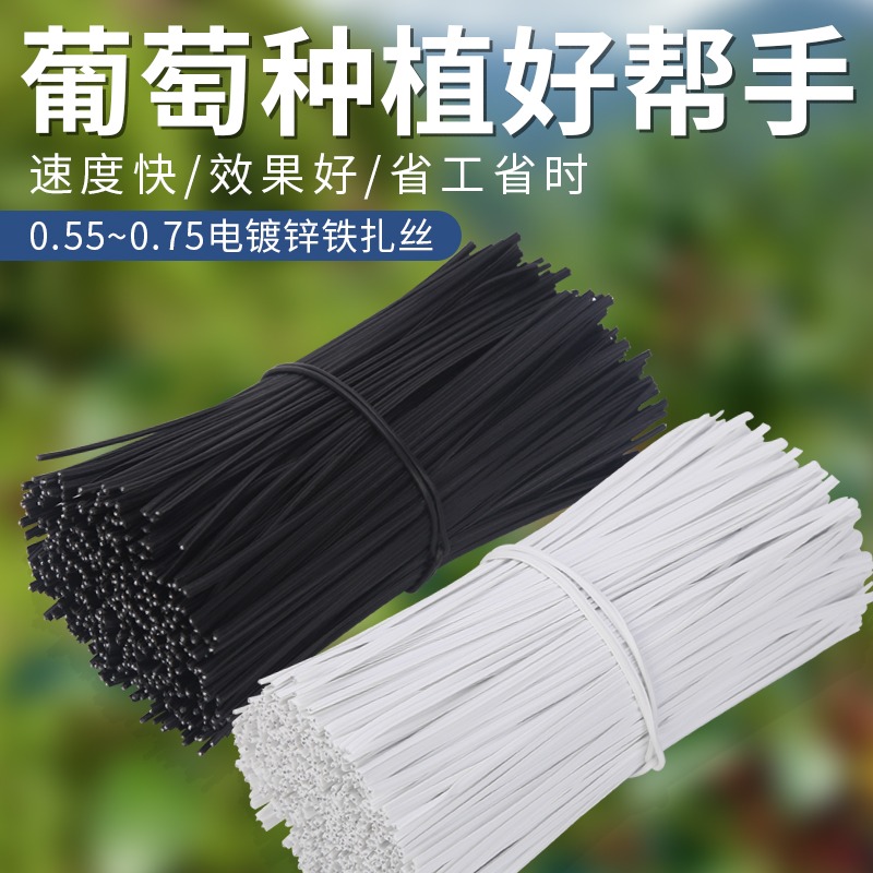 電鍍鋅包塑細鐵絲軟扎帶綁葡萄藤枝架的塑料綁絲電線電纜扎條扎絲-細節圖2