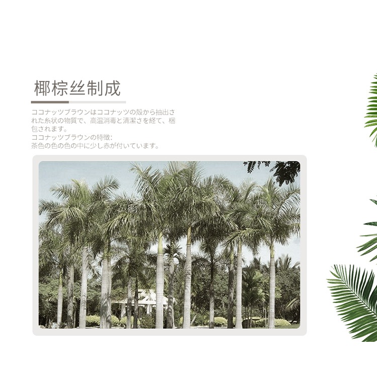 椰棕杯刷玻璃杯刷子無死角刷洗杯子清潔去污力強長柄茶杯刷-細節圖8