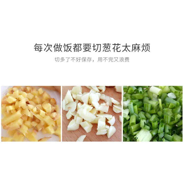 進口蔥花保鮮盒薑片大蒜保鮮盒冰箱水果收納盒廚房便攜瀝水盒-細節圖10