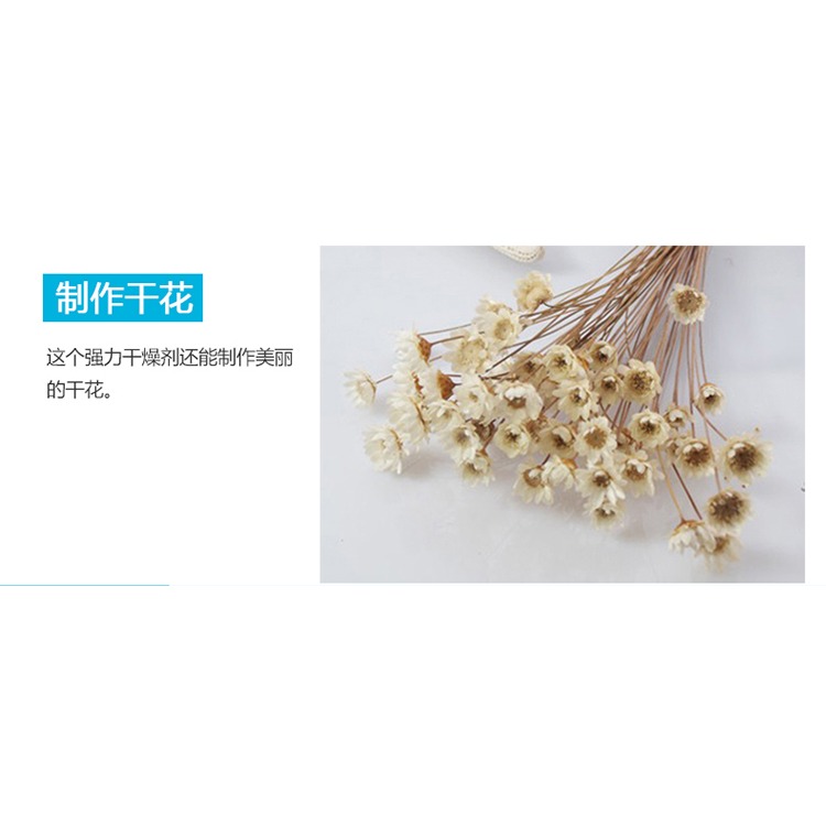 進口食品乾燥劑防潮劑食物防黴劑 室內可再生吸濕袋除濕小包-細節圖10