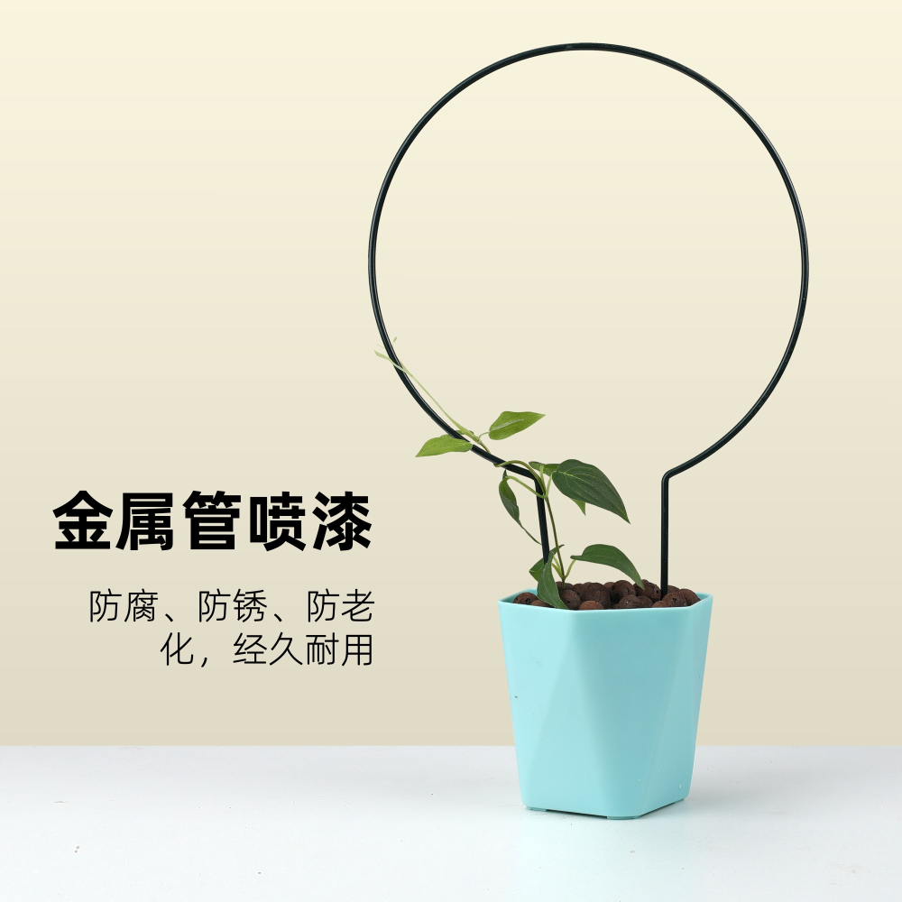 爬藤架子室內心形架鐵線蓮山烏龜攀爬架綠植小支架鐵藝支撐桿-細節圖5