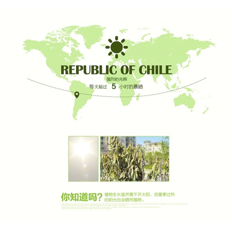 陽臺防曬網夏季綠植多肉遮陰網包邊遮陽網6針加密加厚隔熱網-細節圖7