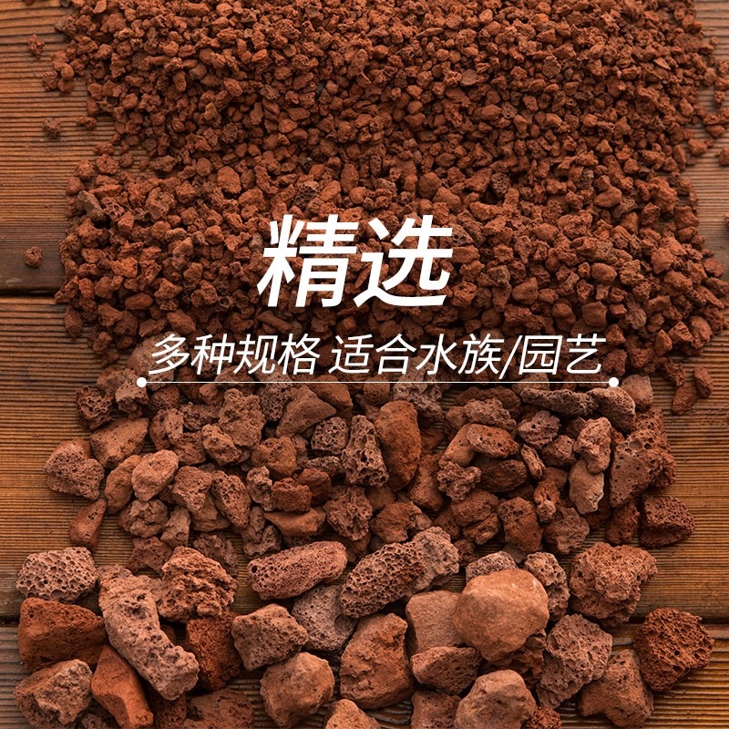 火山石顆粒蘭花專用土鋪面石多肉盆栽水族家用蘭科植料透氣火山巖-細節圖2