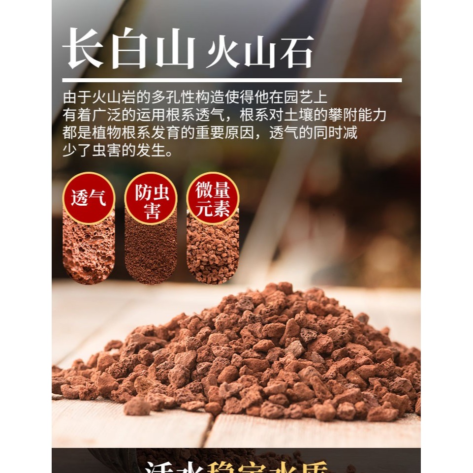 火山石顆粒蘭花專用土鋪面石多肉盆栽水族家用蘭科植料透氣火山巖-細節圖5