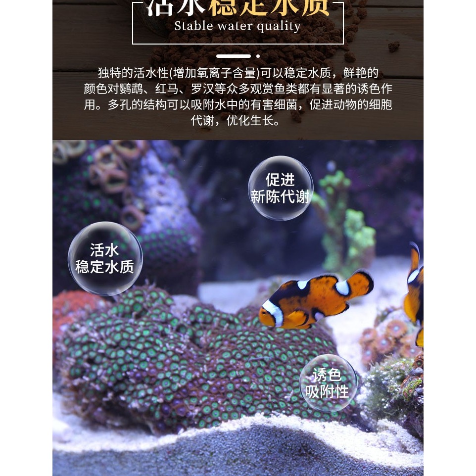火山石顆粒蘭花專用土鋪面石多肉盆栽水族家用蘭科植料透氣火山巖-細節圖6