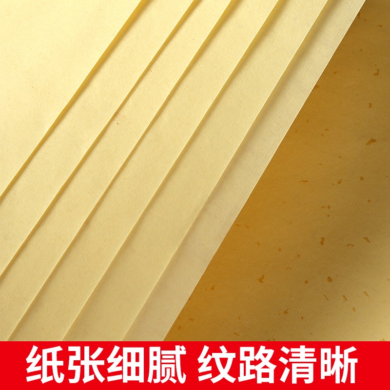大山皮紙彩色宣紙書法專用紙加厚四尺六尺對開五色灑金生宣紙毛筆書法練習紙佛教黃仿古粉彩國畫作品紙100張-細節圖2