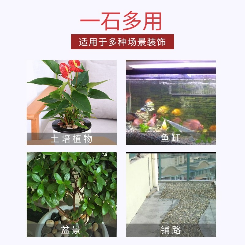 七彩石彩色小石子五彩石頭盆栽多肉植物鋪面石子花盆裝飾魚缸造景-細節圖2