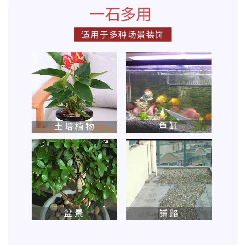 七彩石彩色小石子五彩石頭盆栽多肉植物鋪面石子花盆裝飾魚缸造景-細節圖8