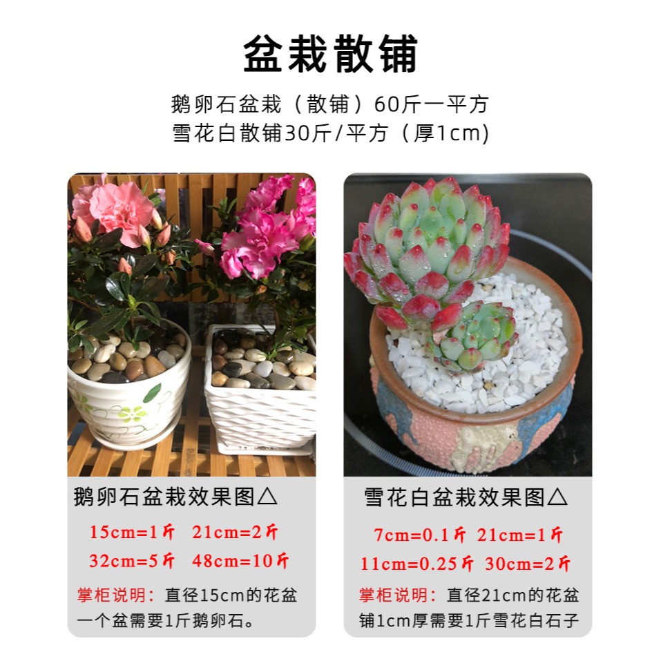 50斤鵝卵石原石天然石子魚缸花盆鋪路鵝軟石裝飾盆栽園藝五彩石頭-細節圖10