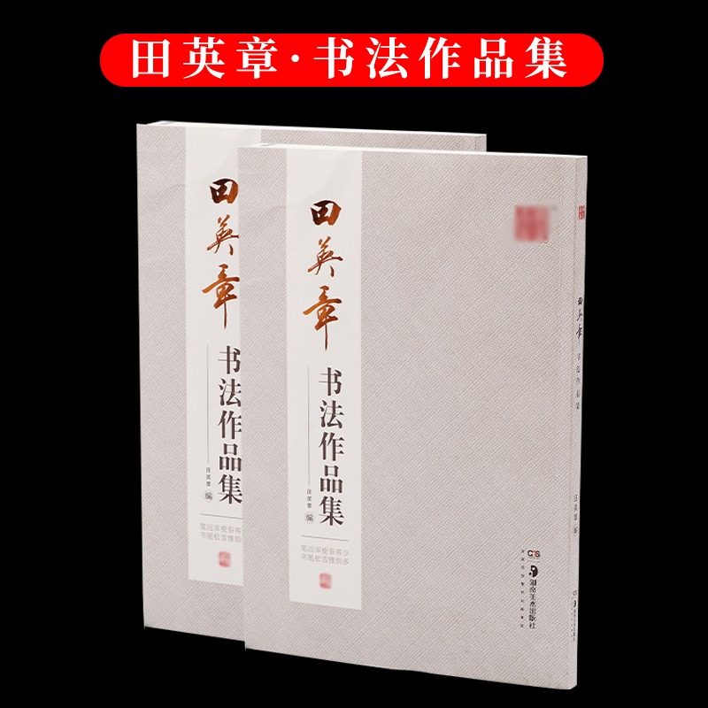 毛筆練字帖楷書歐楷書法字帖田英章書書法作品集詩詞對聯參照作品成人學生初學者入門臨摹創作範本文房四寶-細節圖2