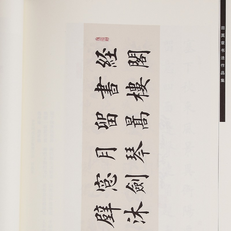 毛筆練字帖楷書歐楷書法字帖田英章書書法作品集詩詞對聯參照作品成人學生初學者入門臨摹創作範本文房四寶-細節圖3