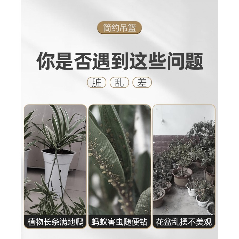 吊蘭花盆2021新款綠蘿懸掛式吊盆塑料大號小吊籃盆自吸水懶人專用-細節圖7