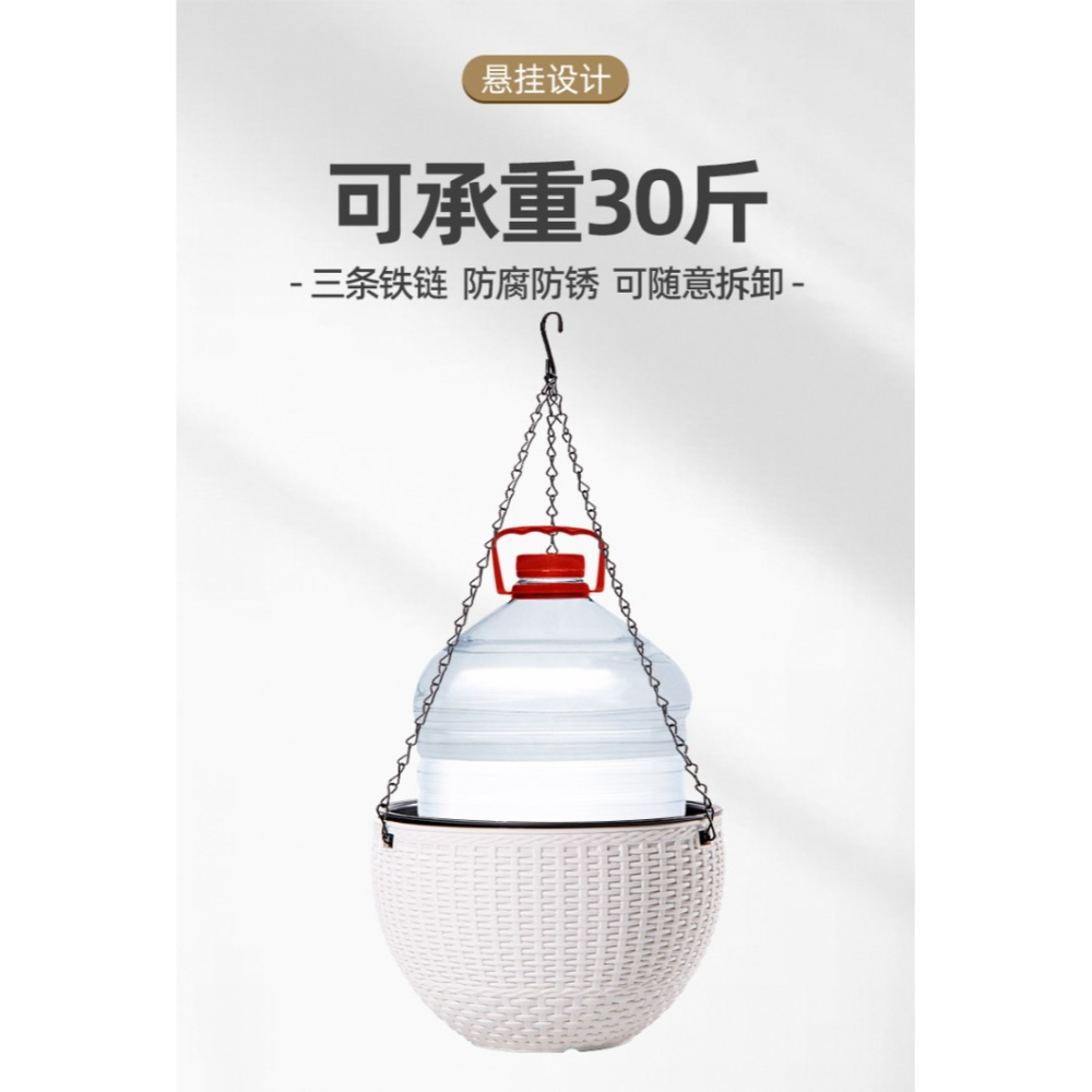 吊蘭花盆2021新款綠蘿懸掛式吊盆塑料大號小吊籃盆自吸水懶人專用-細節圖9