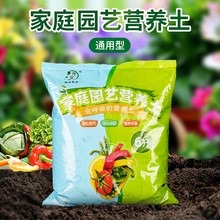 家用澆花灑水壺種菜養花澆水噴壺大容量園藝塑料噴壺長嘴噴水花灑-細節圖9