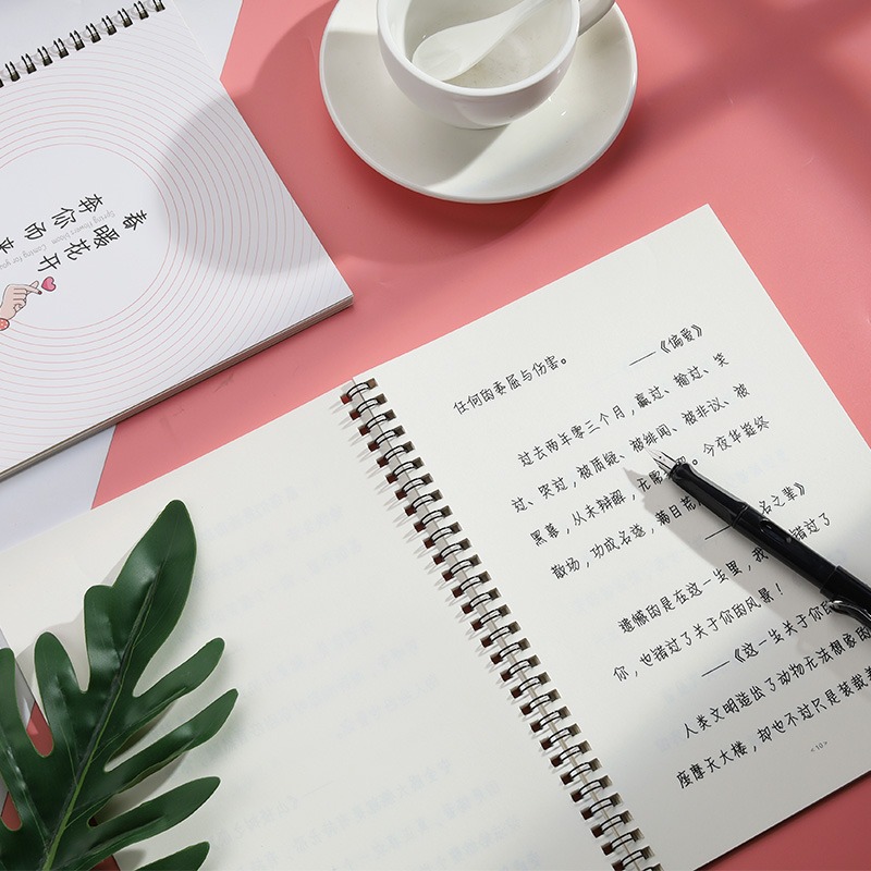 情書翩翩體字帖女生手寫漂亮行楷初學者硬筆書法練字本網紅奶酪陷阱體網易雲熱評書唯美可愛霸氣大學生字帖-細節圖4