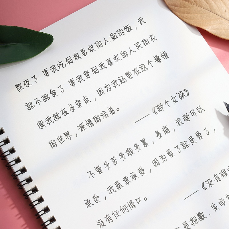 情書翩翩體字帖女生手寫漂亮行楷初學者硬筆書法練字本網紅奶酪陷阱體網易雲熱評書唯美可愛霸氣大學生字帖-細節圖5