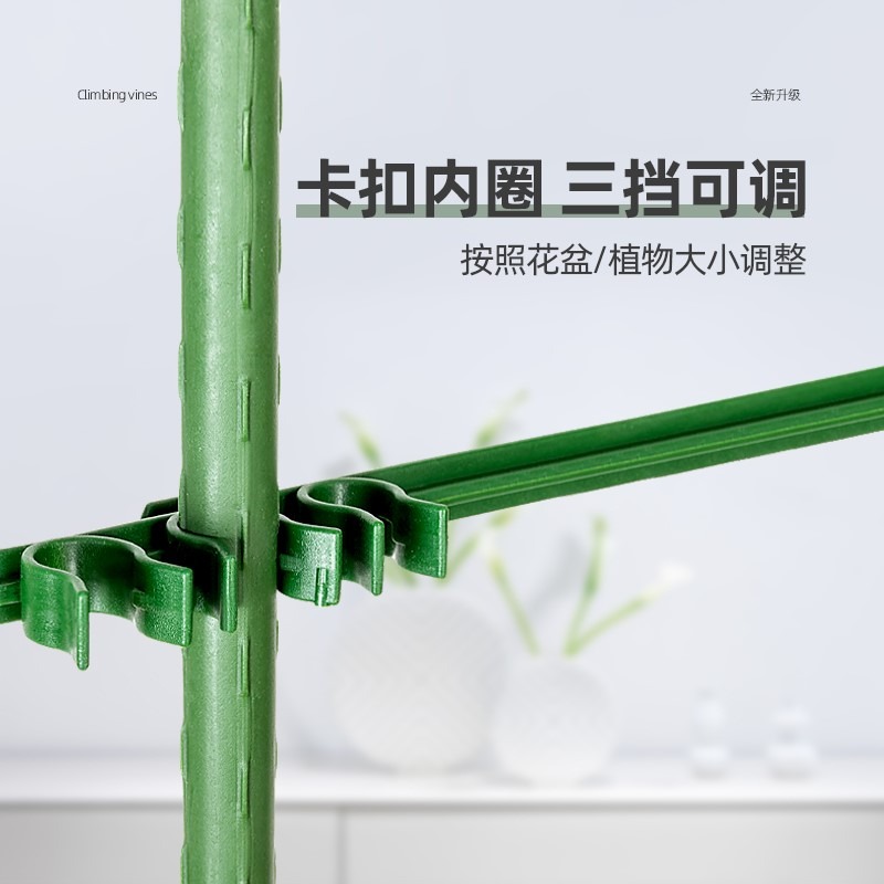 爬藤架園藝花架支架植物攀爬架包塑鋼管室內外月季鐵線蓮葡萄托架-細節圖2