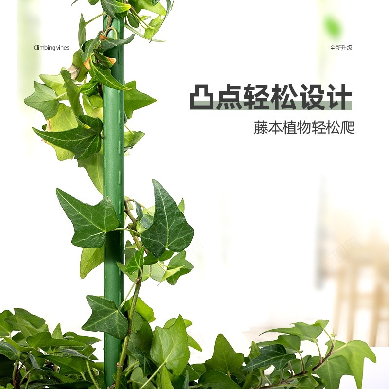 爬藤架園藝花架支架植物攀爬架包塑鋼管室內外月季鐵線蓮葡萄托架-細節圖4
